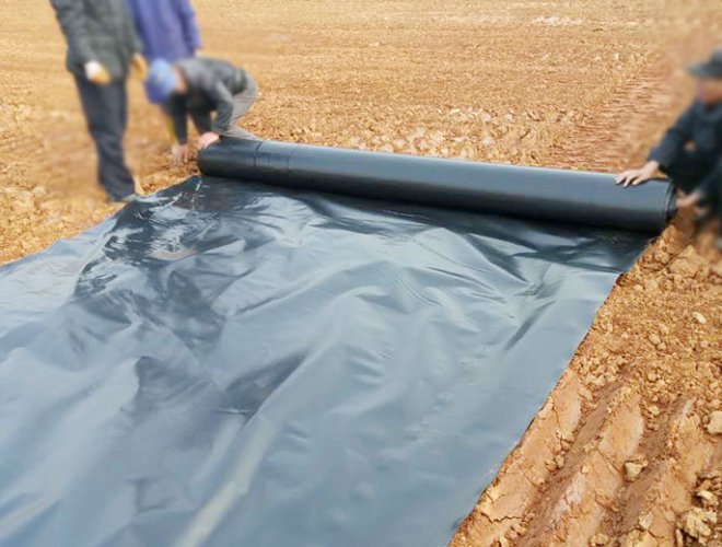 Geomembrane